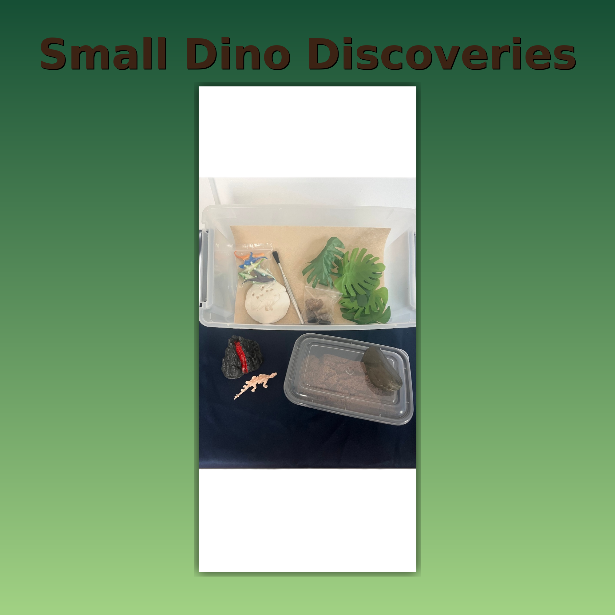 Small Dino Discoveries image 0