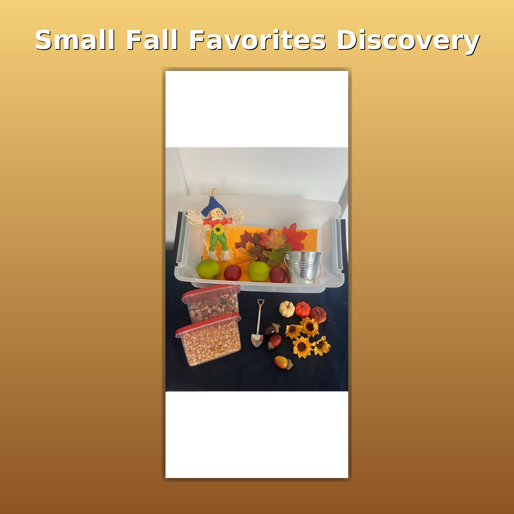 Small Fall Favorites Discovery image 0